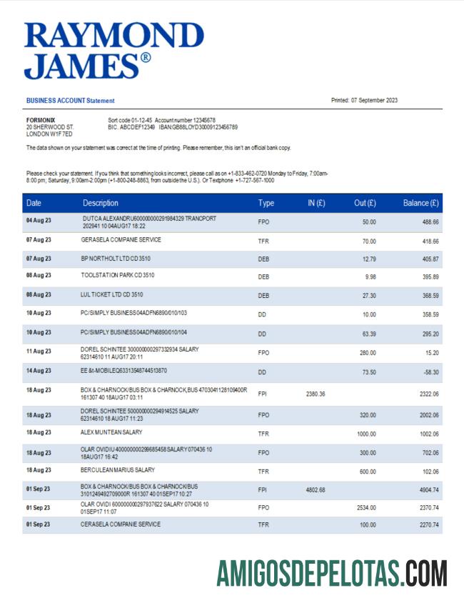 Realista Raymond James Bank Declaração da Organização Modelo Word e PDF